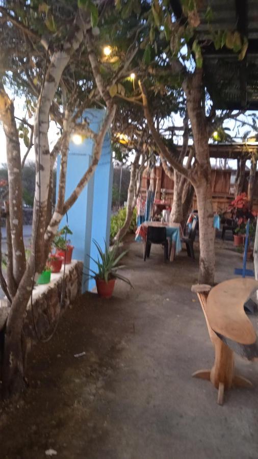 Hostal Cabanas Don Jorge Пуэрто-Бакерисо-Морено Экстерьер фото